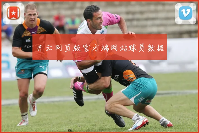 开云网页版官方端网站球员数据