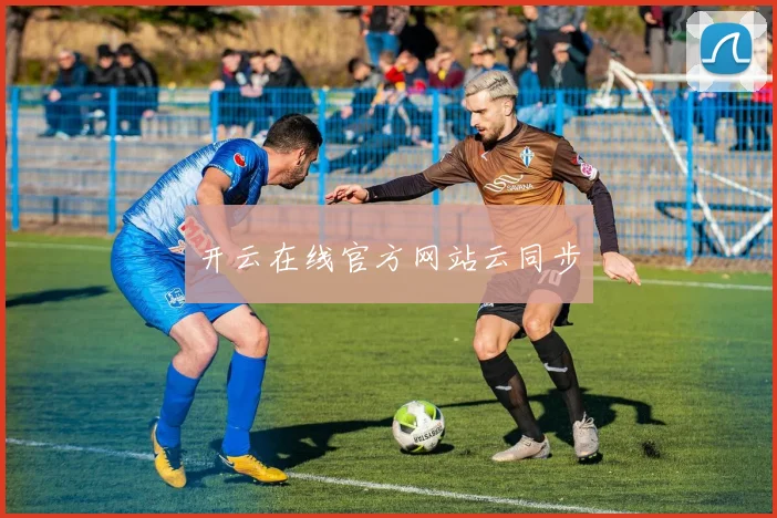 开云在线官方网站云同步