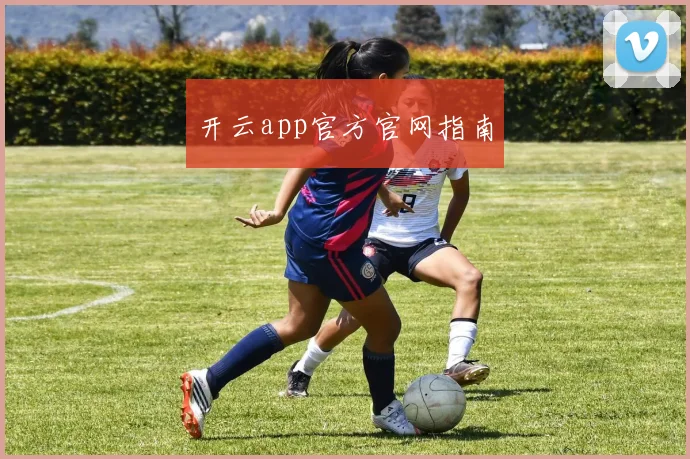 开云app官方官网指南
