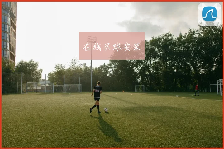 在线买球安装