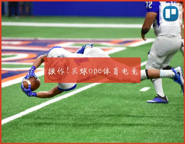 振作!买球ope体育电竞