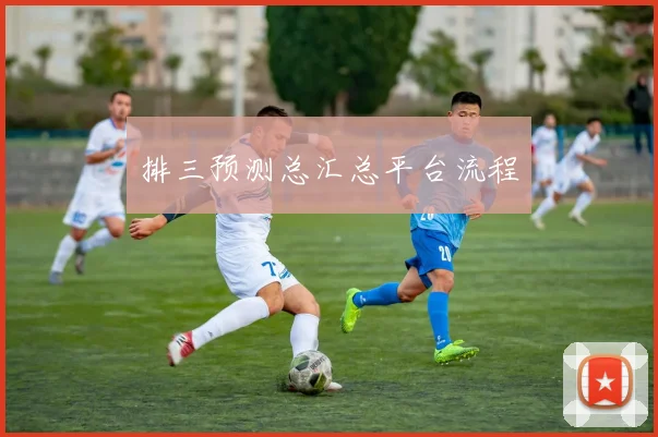 排三预测总汇总平台流程