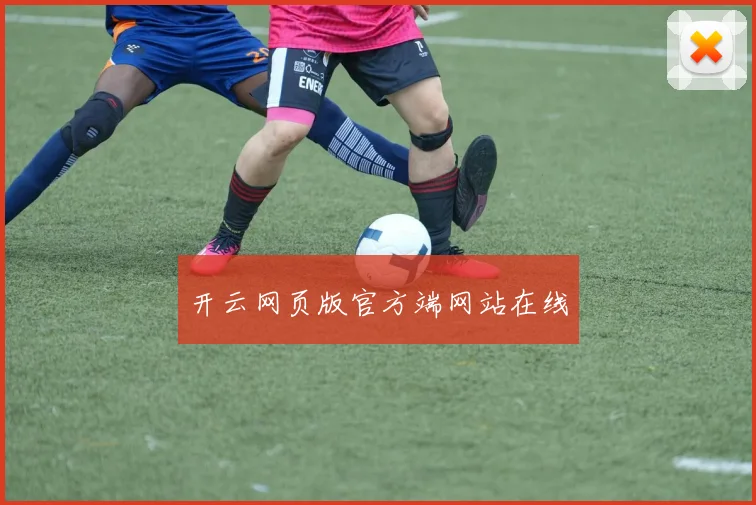 开云网页版官方端网站在线