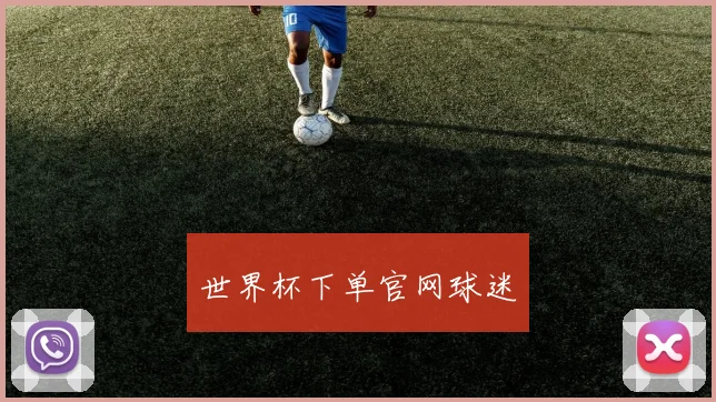 世界杯下单官网球迷