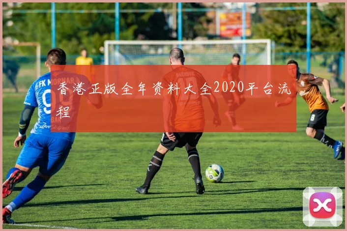 香港正版全年资料大全2020平台流程