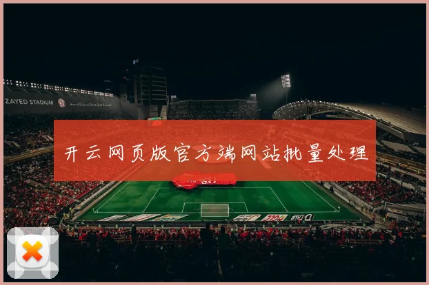 开云网页版官方端网站批量处理