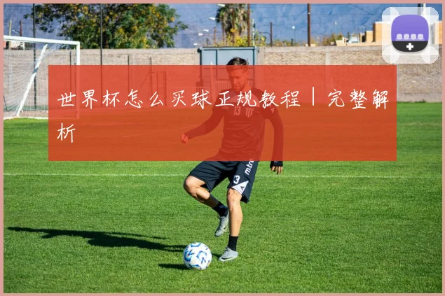 世界杯怎么买球正规教程|完整解析