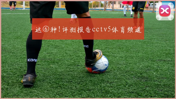 这⑥种!评测报告cctv5体育频道