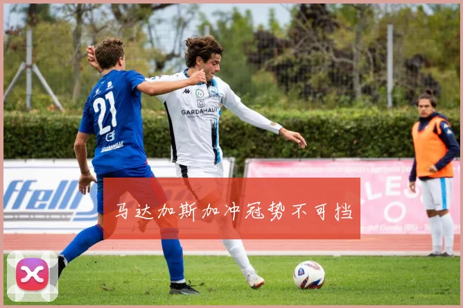 马达加斯加冲冠势不可挡