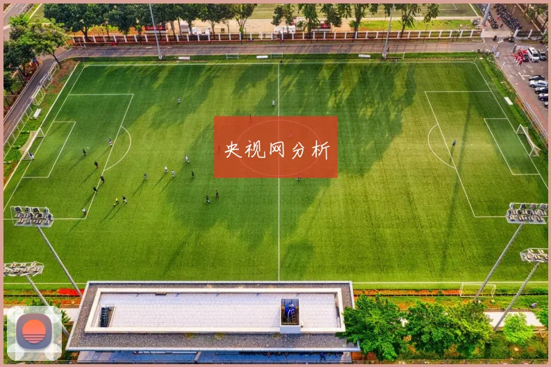 央视网分析