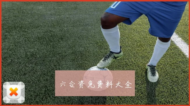 六合资免费料大全