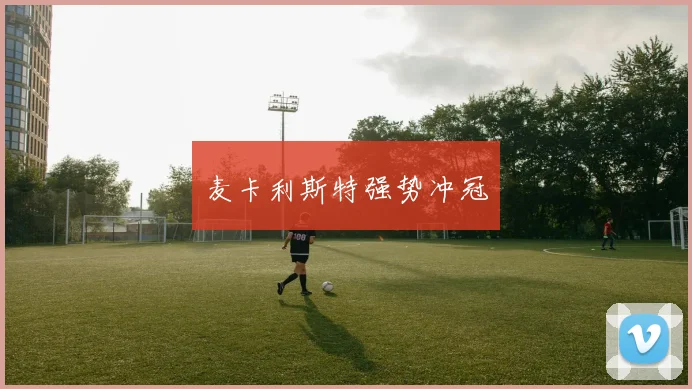 麦卡利斯特强势冲冠