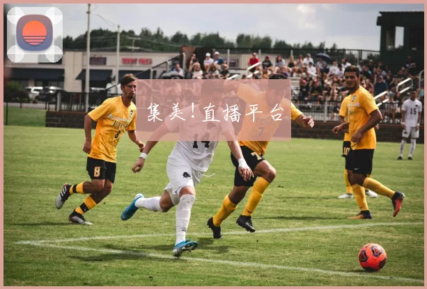 集美!直播平台