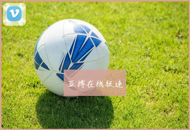 亚搏在线极速
