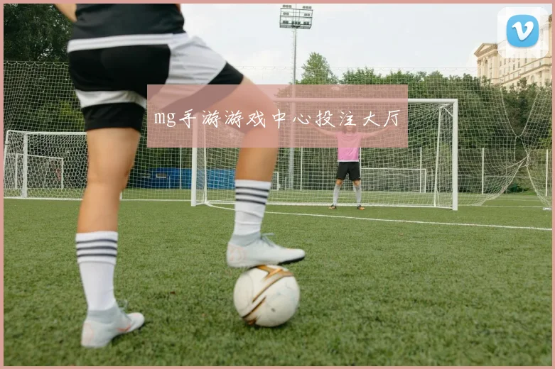 mg手游游戏中心投注大厅
