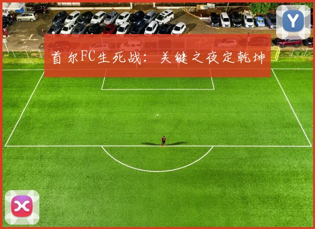 首尔FC生死战：关键之夜定乾坤