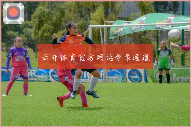 云开体育官方网站登录通道