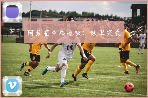 阿劳霍中路爆破：铁卫突袭