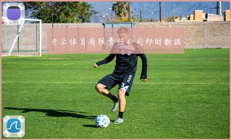 开云体育有限责任公司即时数据