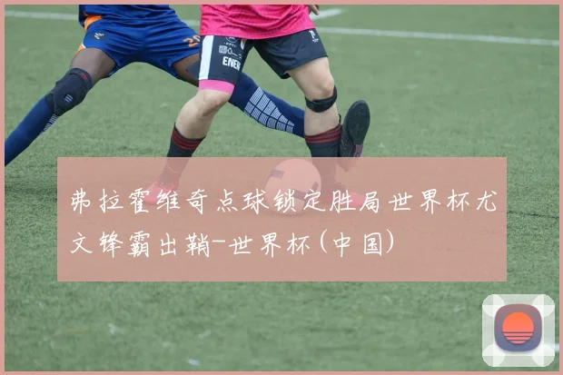 弗拉霍维奇点球锁定胜局世界杯尤文锋霸出鞘-世界杯(中国)