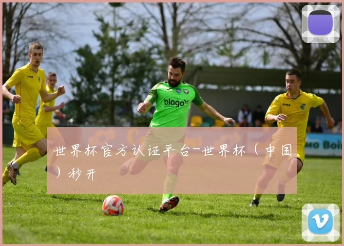 世界杯官方认证平台-世界杯（中国）秒开
