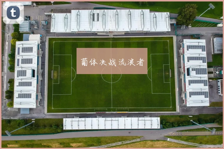 葡体决战流浪者