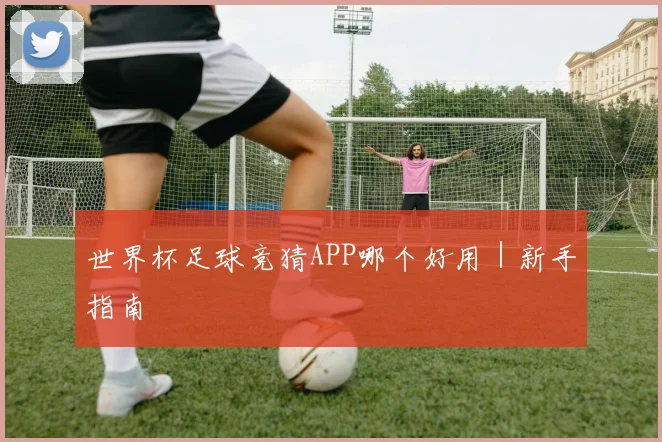 世界杯足球竞猜APP哪个好用｜新手指南