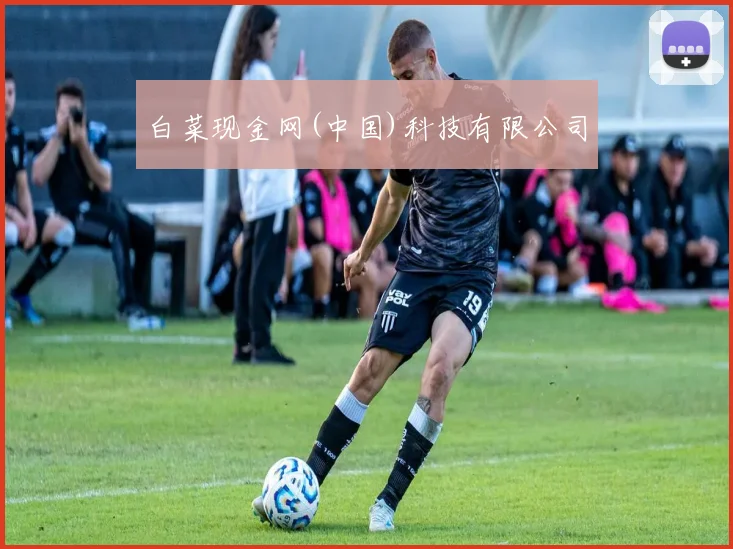 白菜现金网(中国)科技有限公司