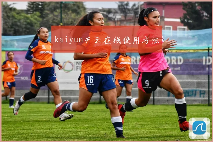 kaiyun开云在线使用方法