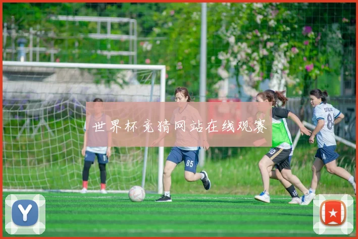 世界杯竞猜网站在线观赛