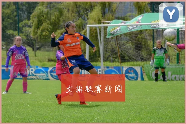 女排联赛新闻