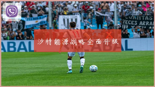 沙特能源战略全面升级