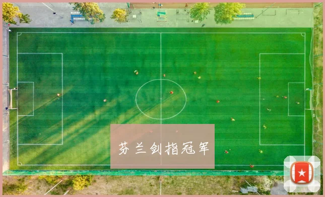 芬兰剑指冠军