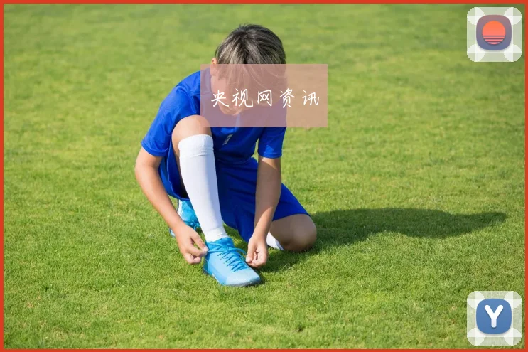 央视网资讯