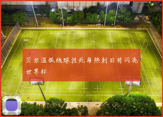 贝尔温弧线球挂死角热刺旧将闪亮世界杯