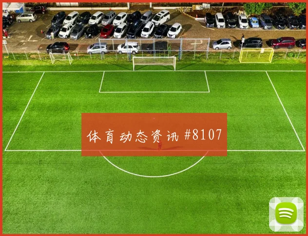 6月11日南非对墨西哥老将作用