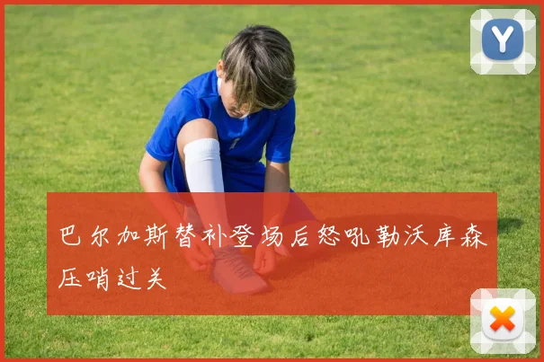 巴尔加斯替补登场后怒吼勒沃库森压哨过关