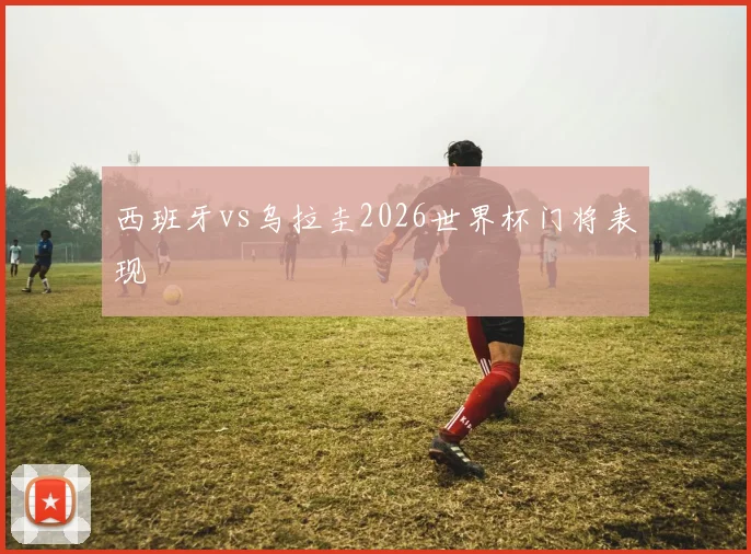 西班牙vs乌拉圭2026世界杯门将表现
