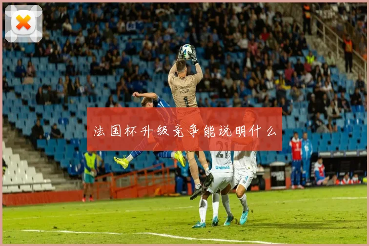 法国杯升级竞争能说明什么