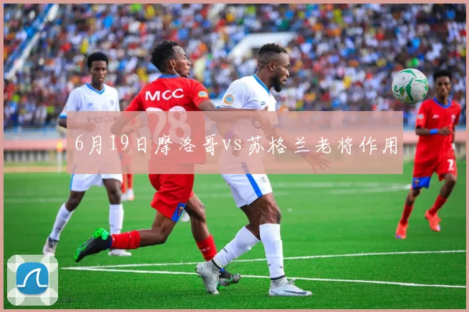6月19日摩洛哥vs苏格兰老将作用