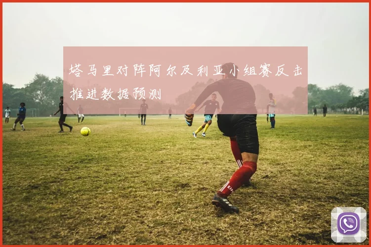 塔马里对阵阿尔及利亚小组赛反击推进数据预测