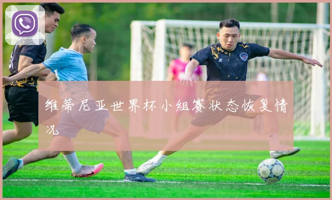 维蒂尼亚世界杯小组赛状态恢复情况