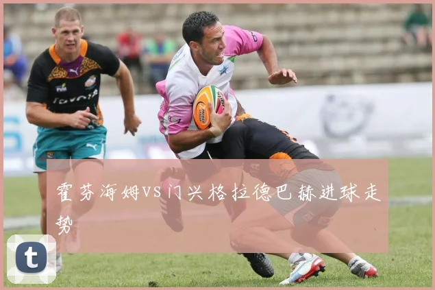 霍芬海姆vs门兴格拉德巴赫进球走势
