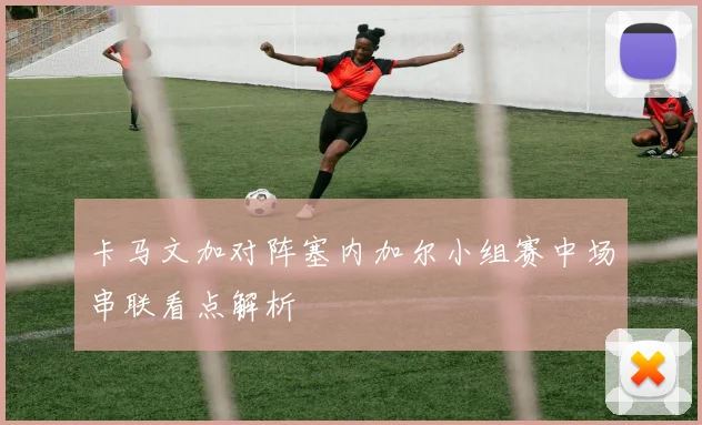 卡马文加对阵塞内加尔小组赛中场串联看点解析