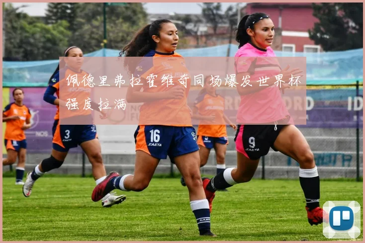 佩德里弗拉霍维奇同场爆发世界杯强度拉满