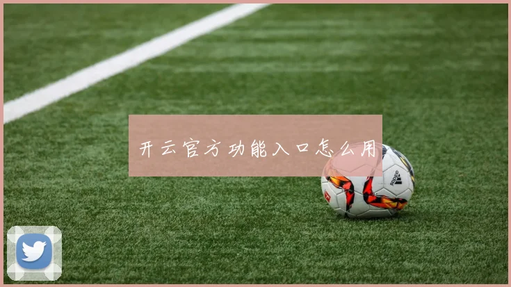 开云官方功能入口怎么用
